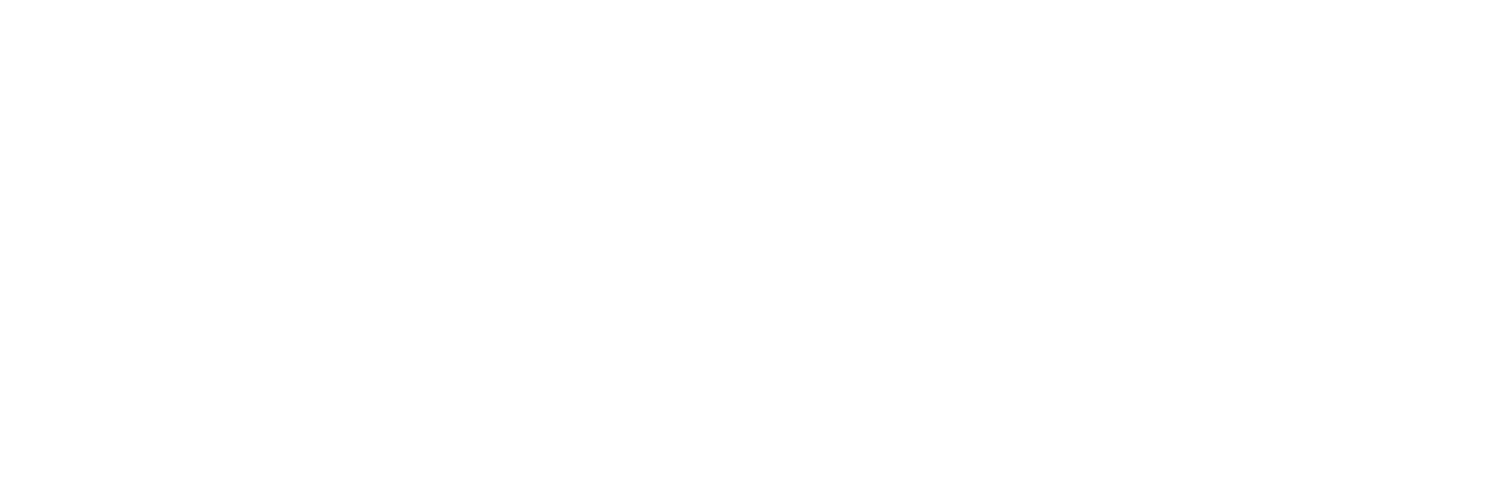 Subscription Plans — Exact Numbers